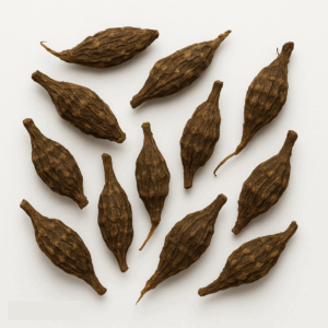 Notengras wortelstok (Xiang Fu)