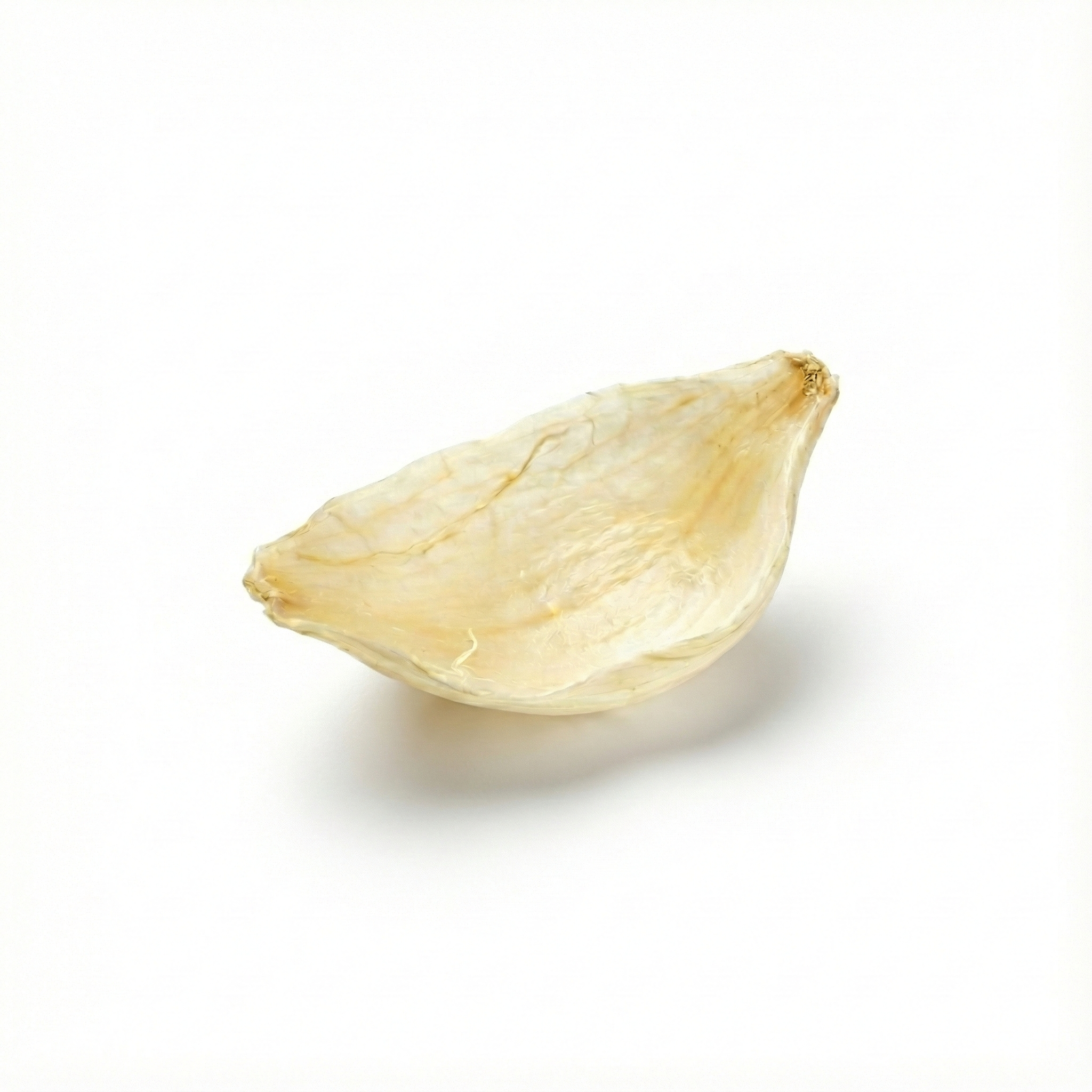 Bruine leliebol (Bai He)