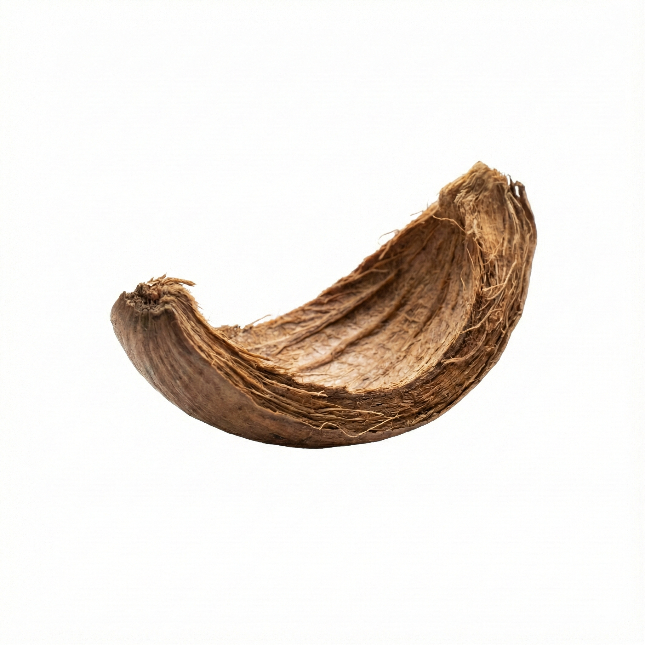 Areca Peel (Da Fu Pi)