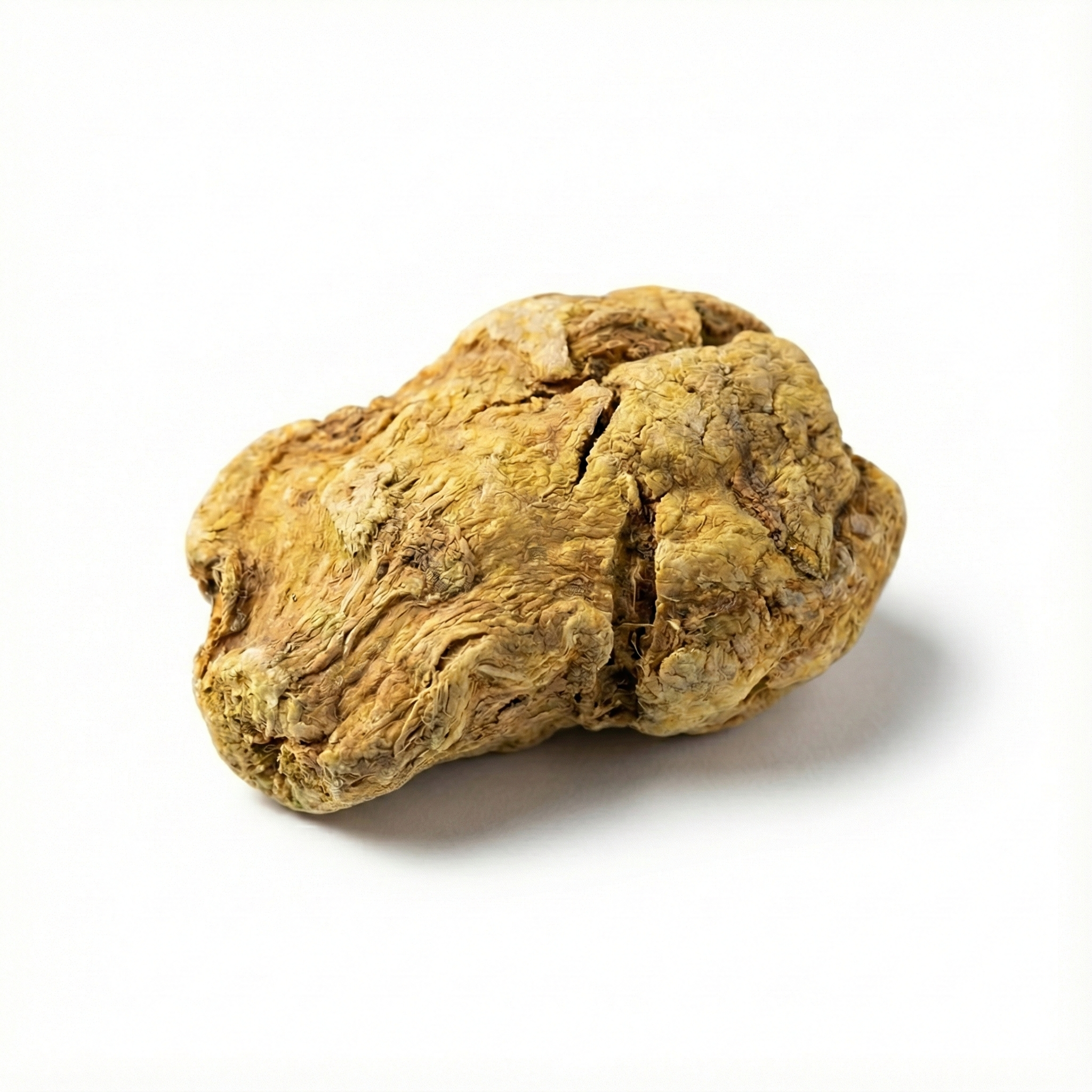 Met gal bewerkte Arisaema (Dan Nan Xing)