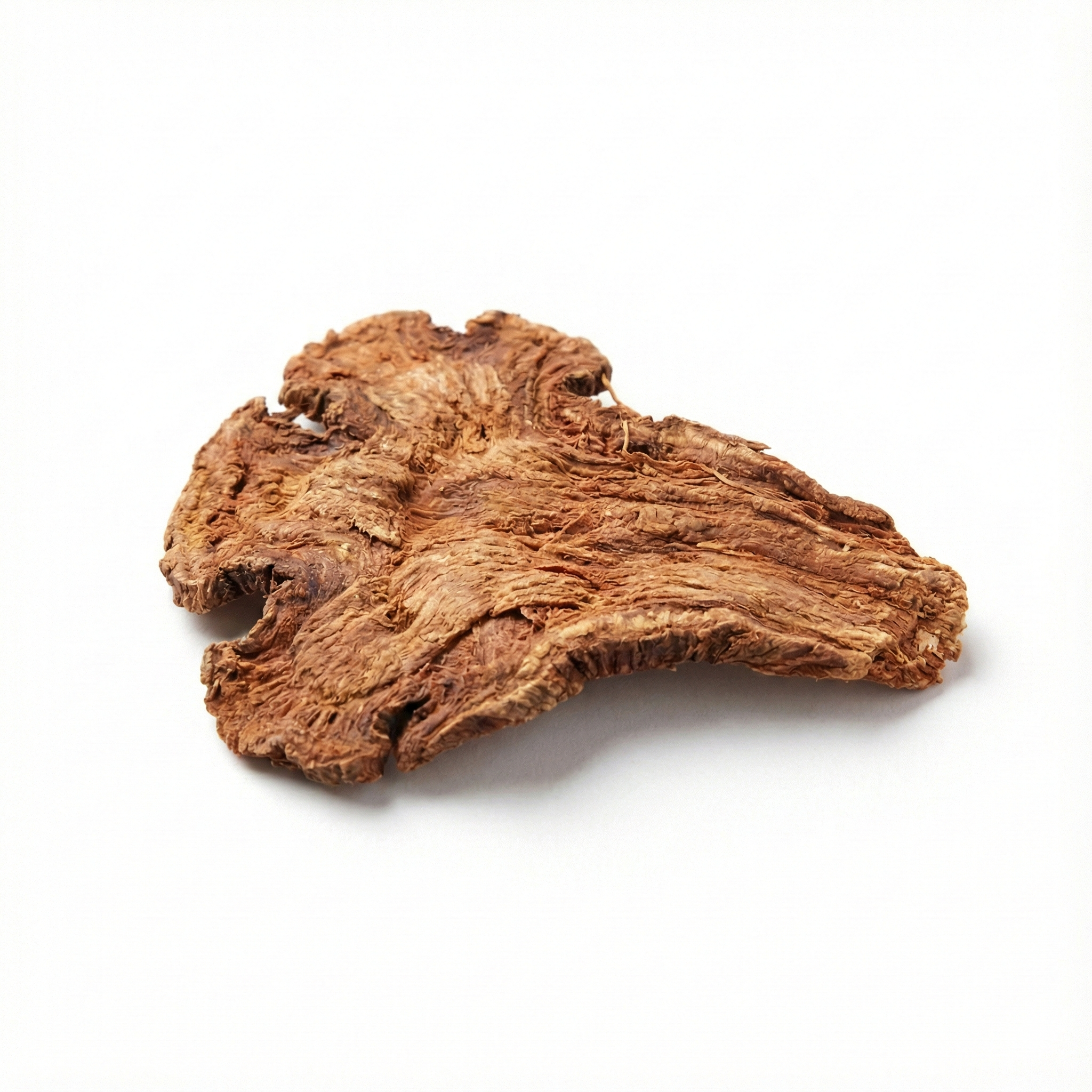 Chinese Engelwortel (Dang Gui)