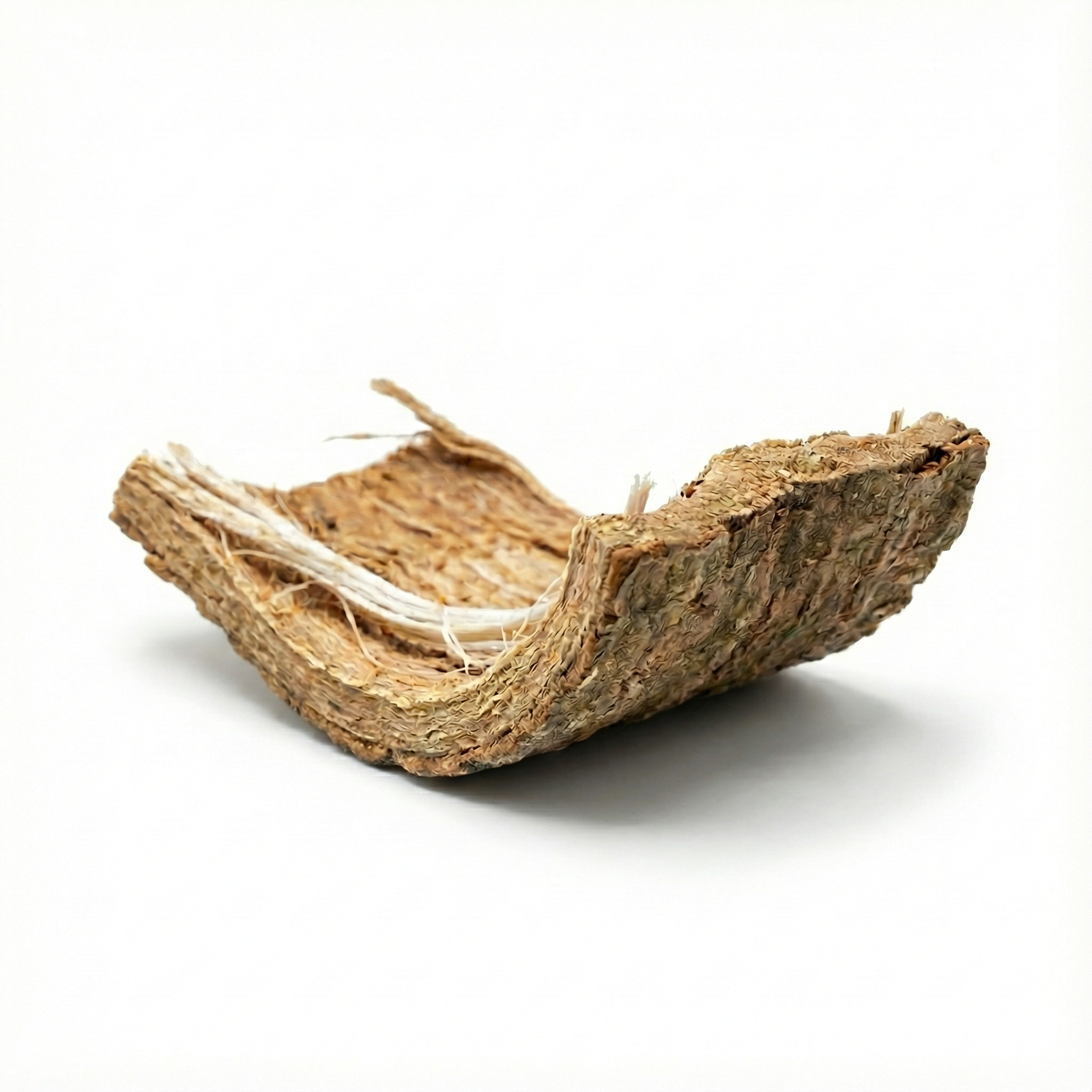 Eucommia Schors (Du Zhong)