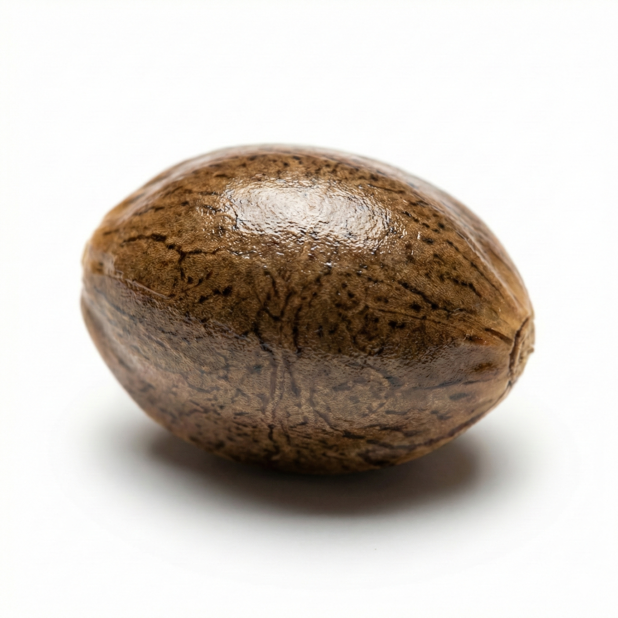 Hennepzaad (Huo Ma Ren)