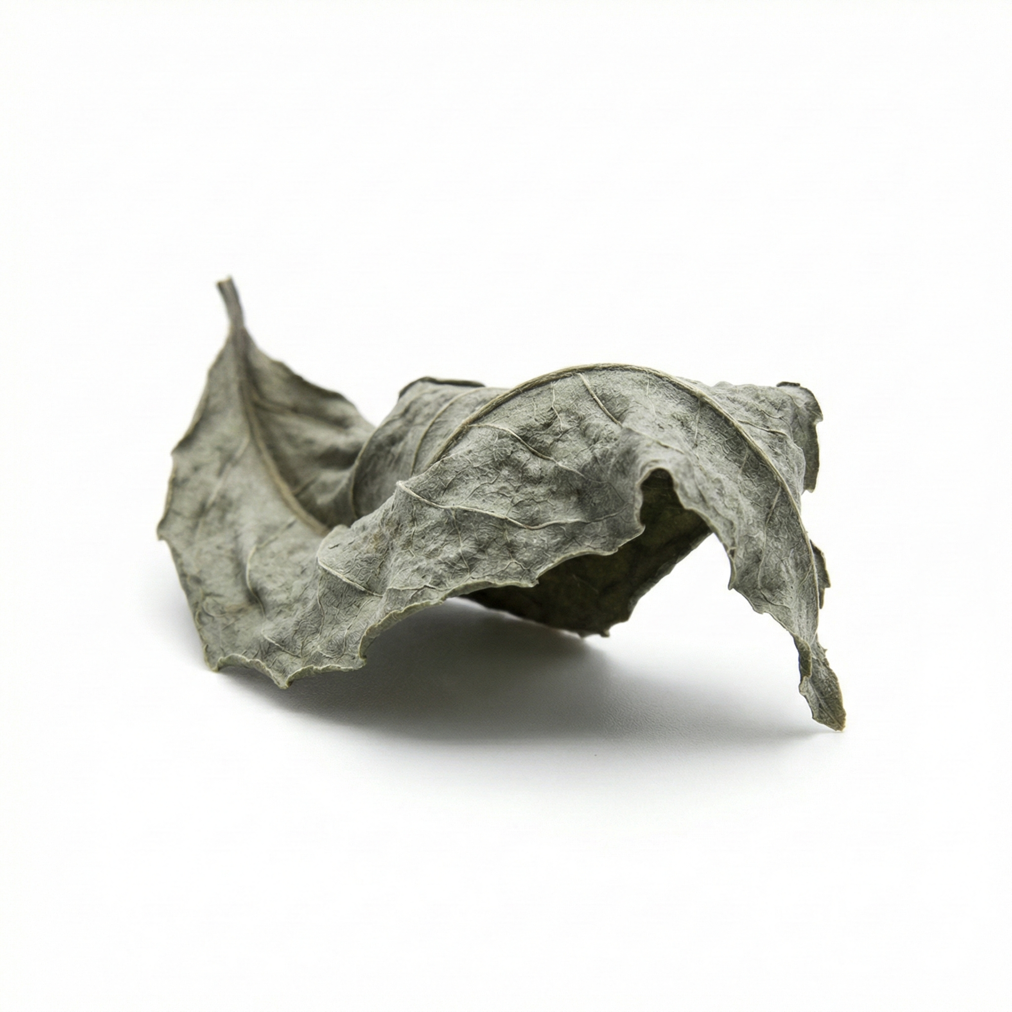 Groene thee (Qing Cha)