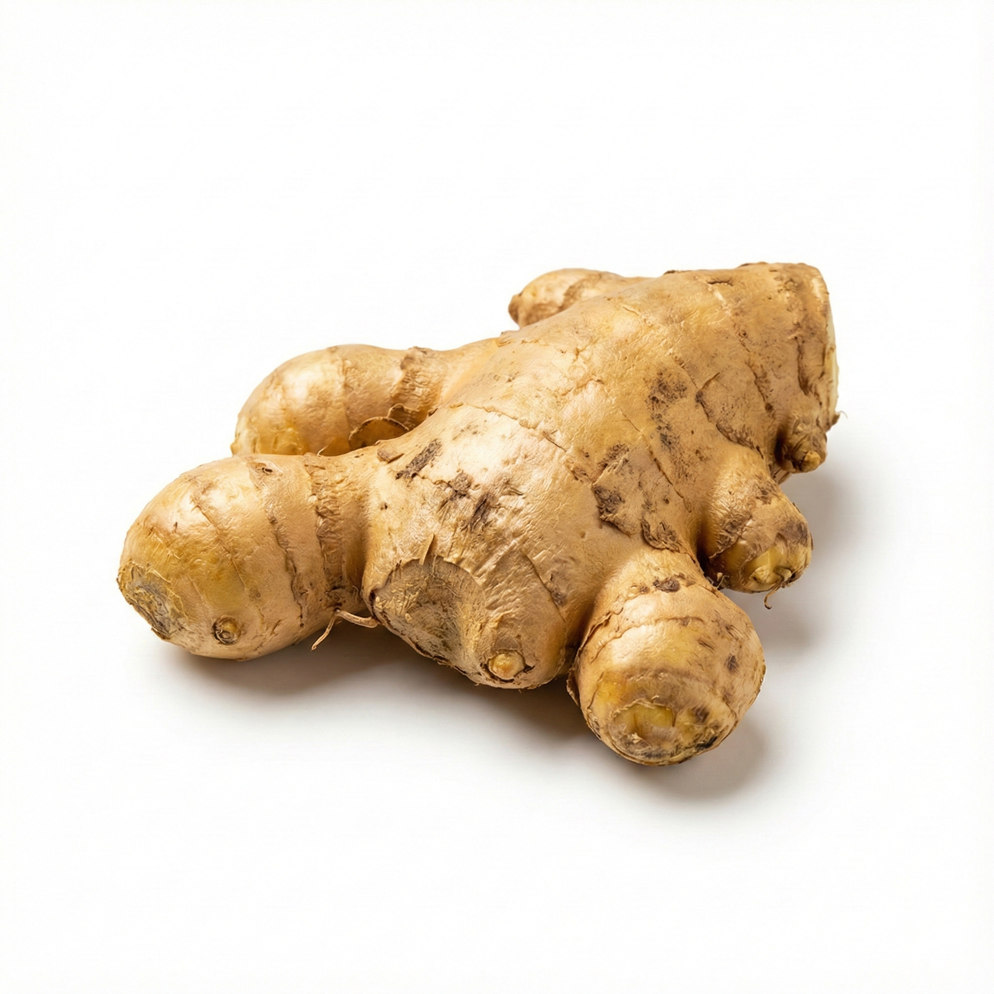 Gember Verse wortelstok (Sheng Jiang)