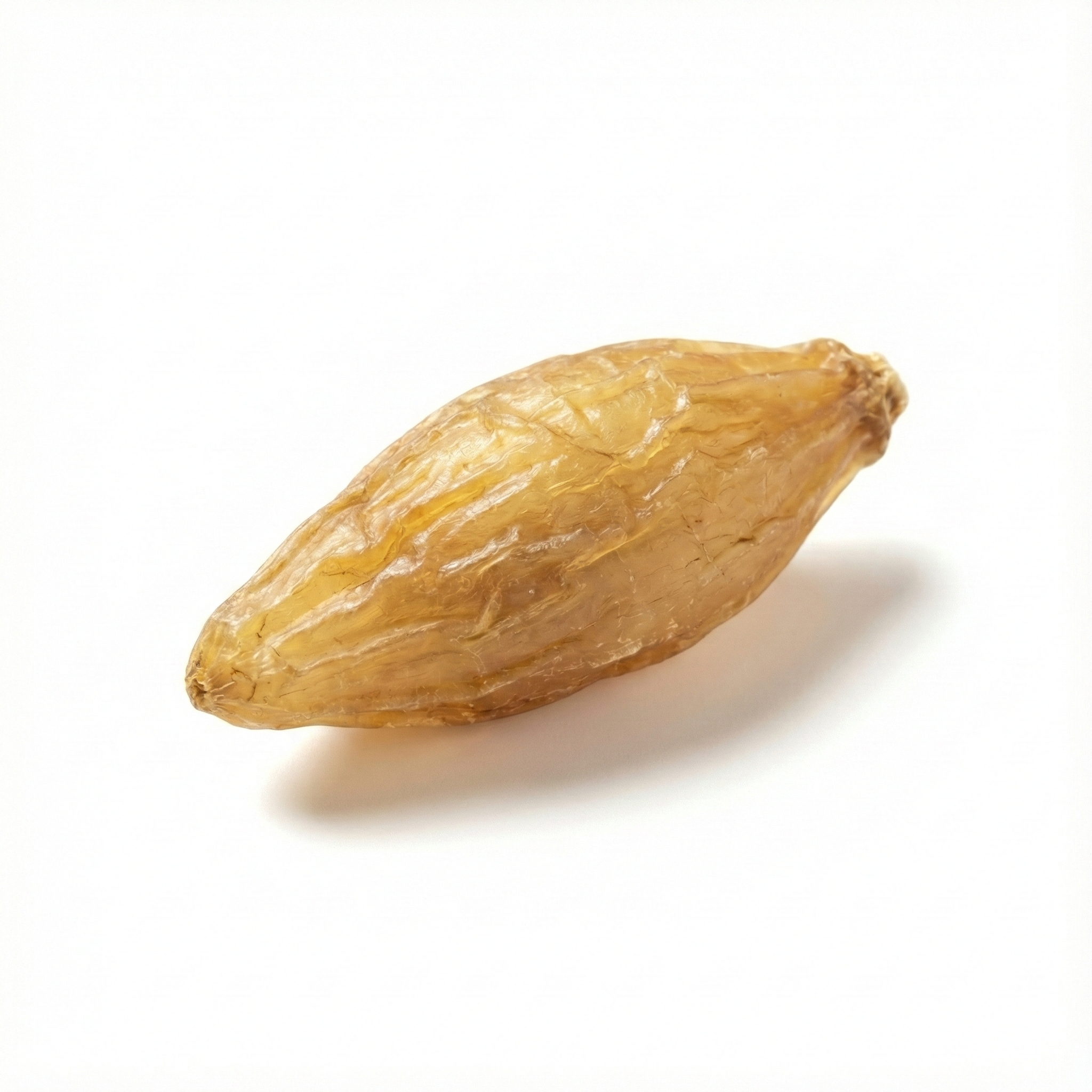 Knol van de Chinese aspergewortel (Tian Men Dong)