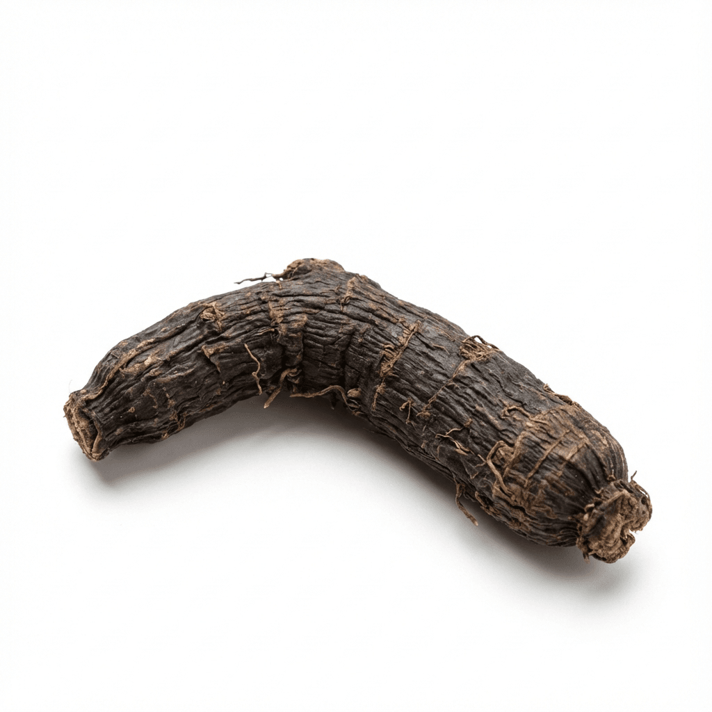 Curculigo wortelstok (Xian Mao)