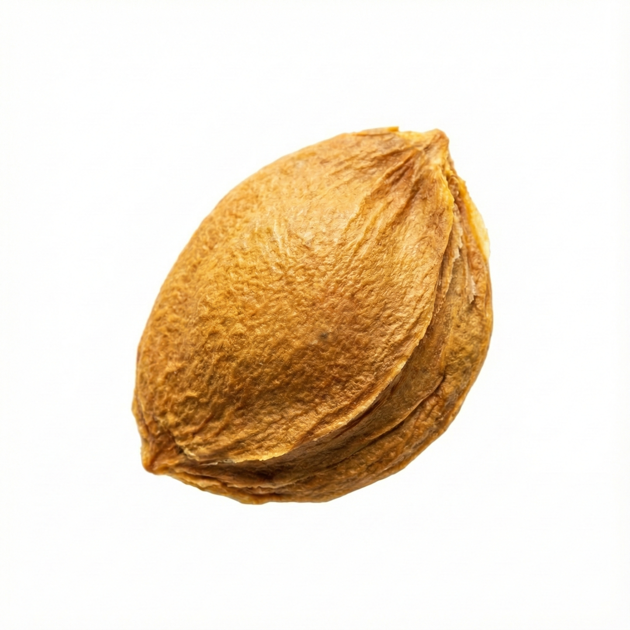 Abrikozenpit (Xing Ren)