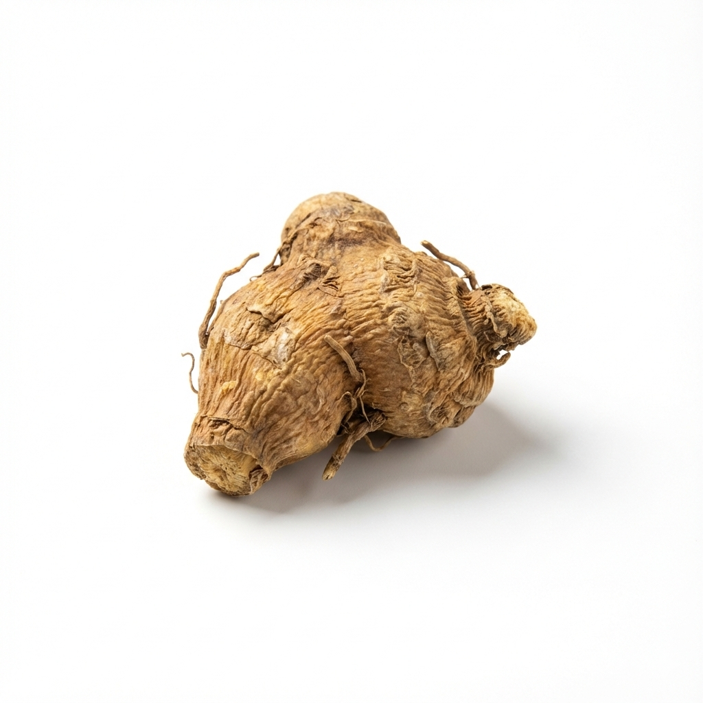 Corydalis wortelstok (Yan Hu Suo)