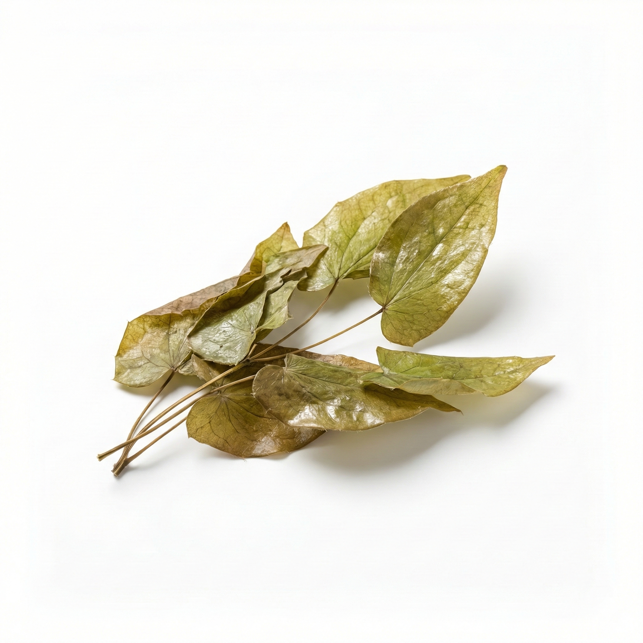 Geitenblad (Yin Yang Huo)