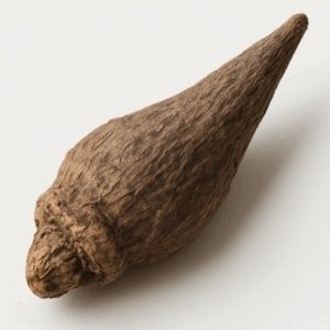 Bereide Aconietwortel (Zhi Fu Zi)