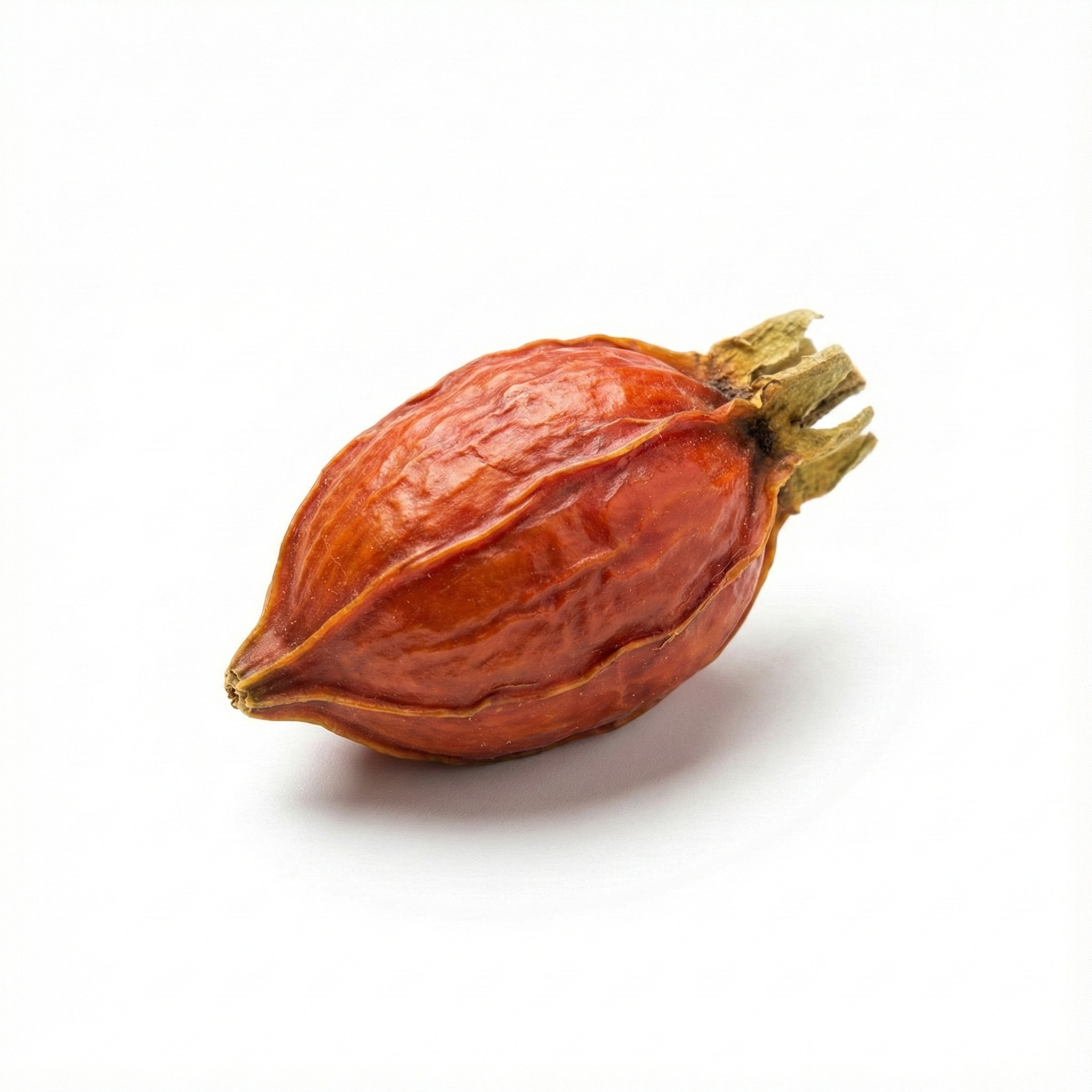 Gardenia Vruchten (Zhi Zi)