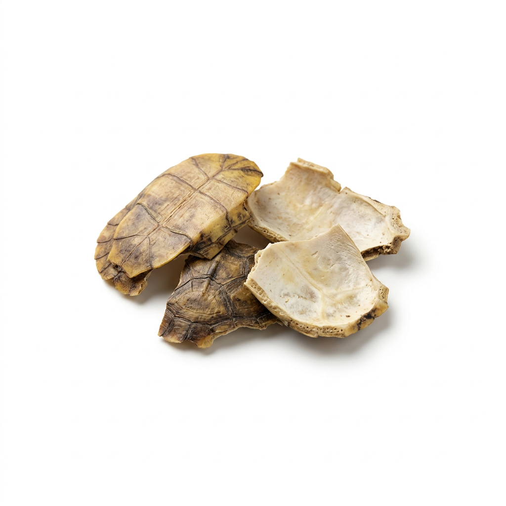 Zoetwaterschildpad-schild (Gui Ban)