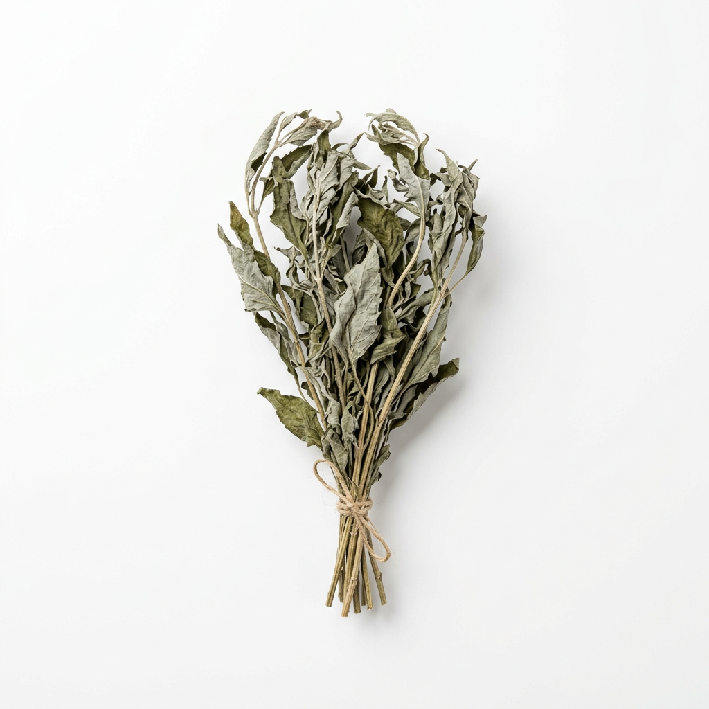 Orchideegras (Pei Lan)