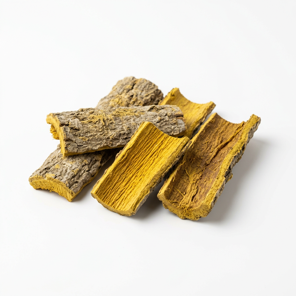 Phellodendron-bast (Huang Bai)