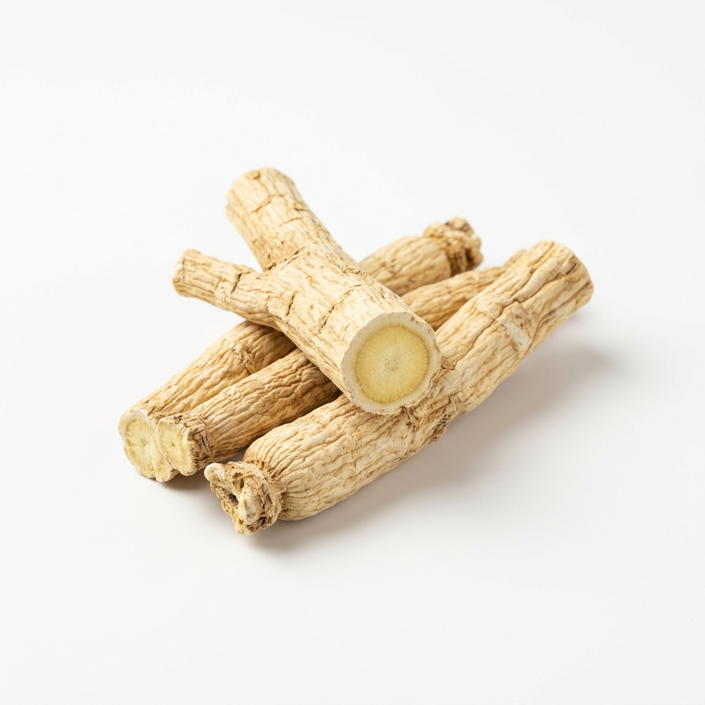 Platycodon-wortel (Jie Geng)