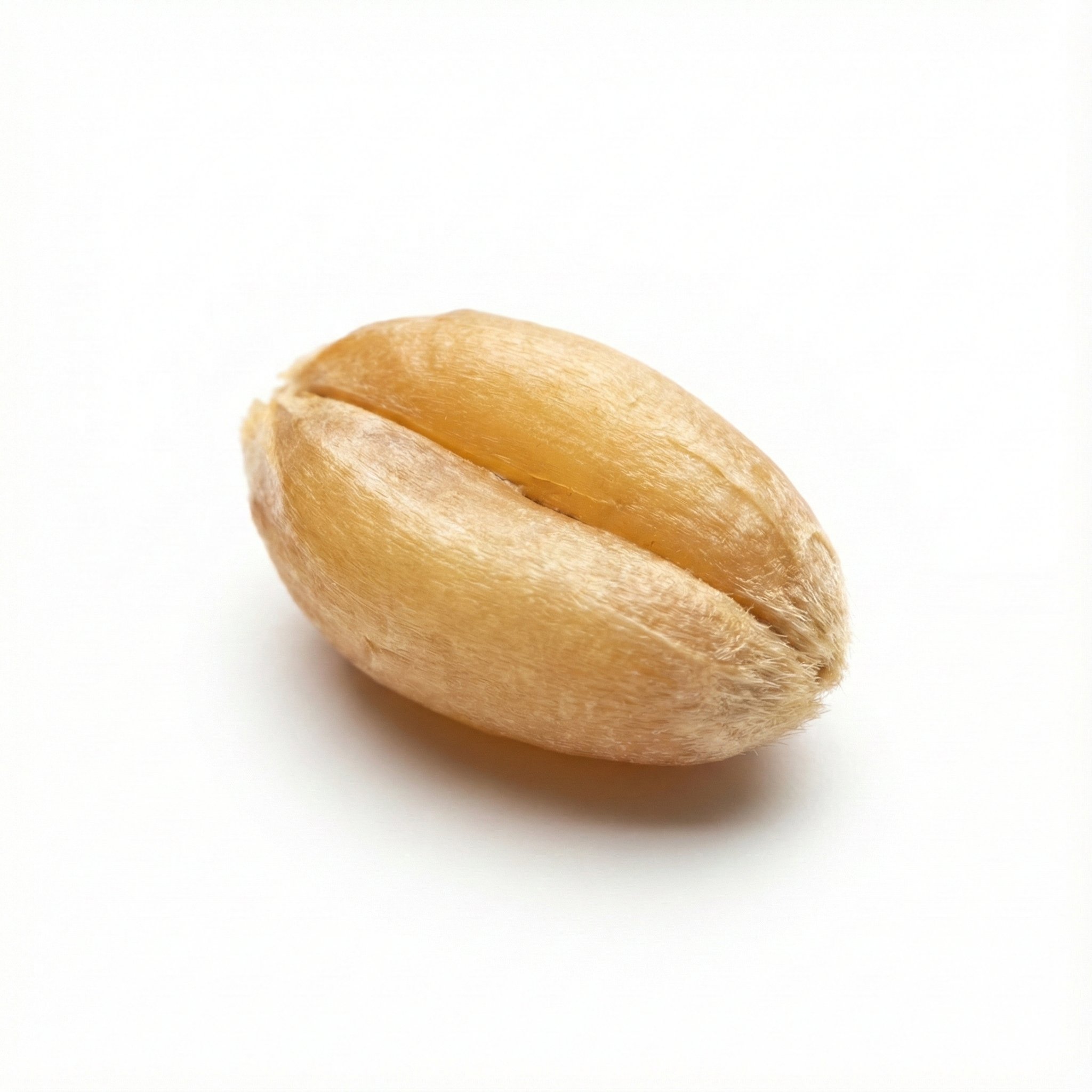 Lichte Tarwe (Fu Xiao Mai)