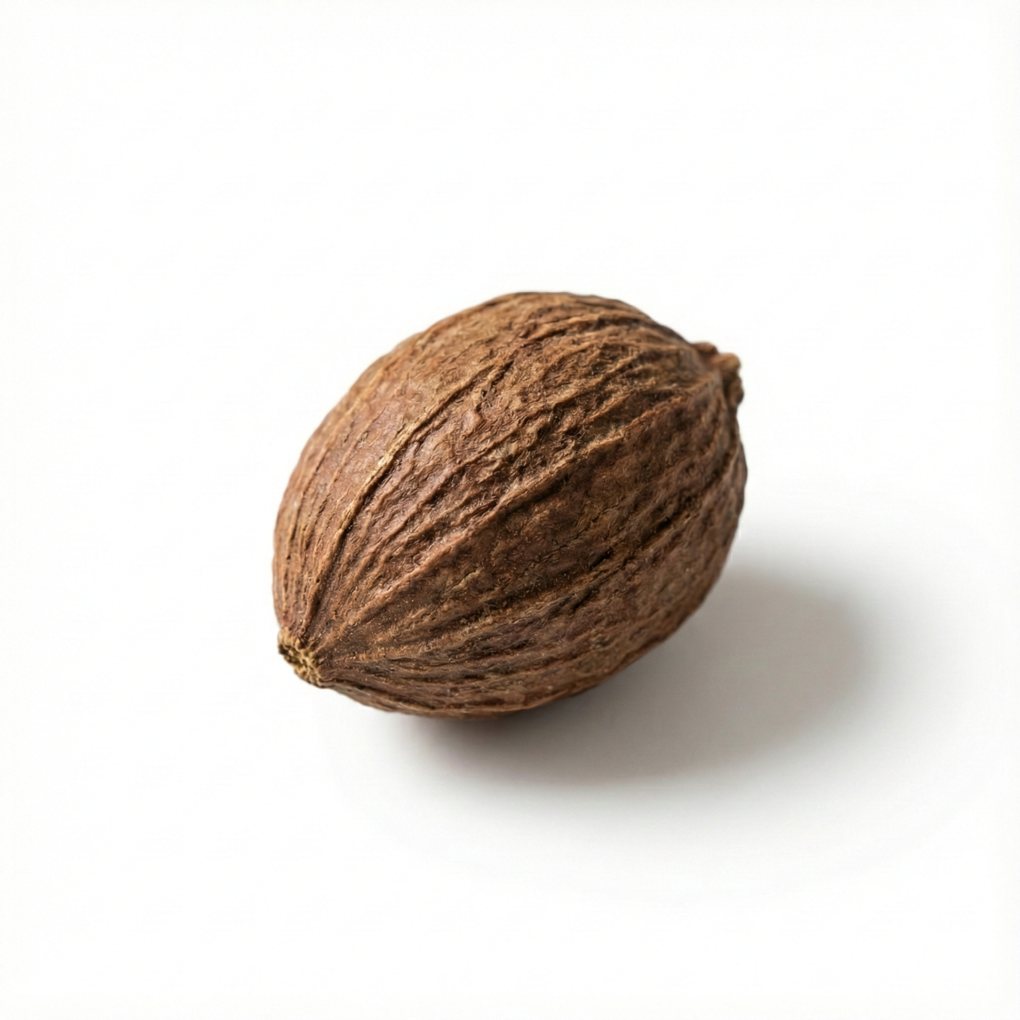 Amomum Vrucht (Sha Ren)