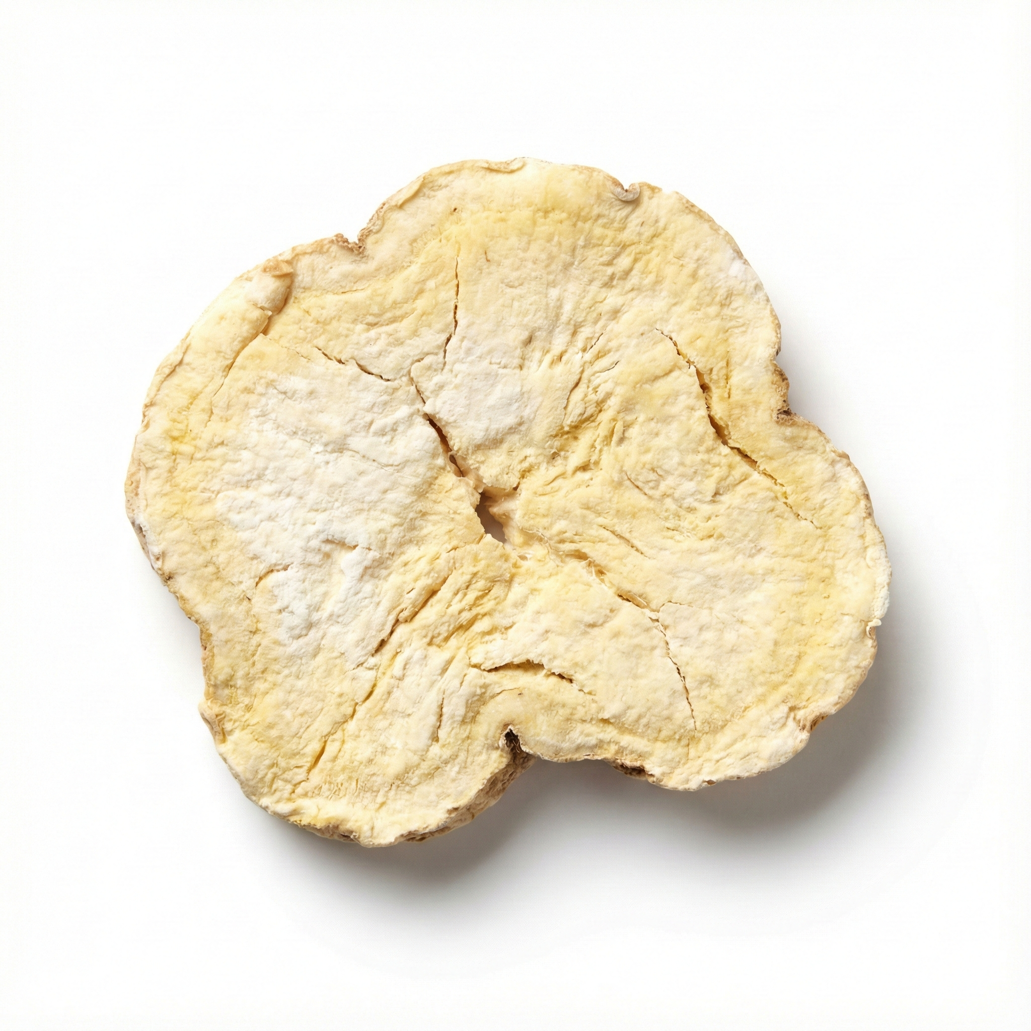 Chinese Yam (Shan Yao)