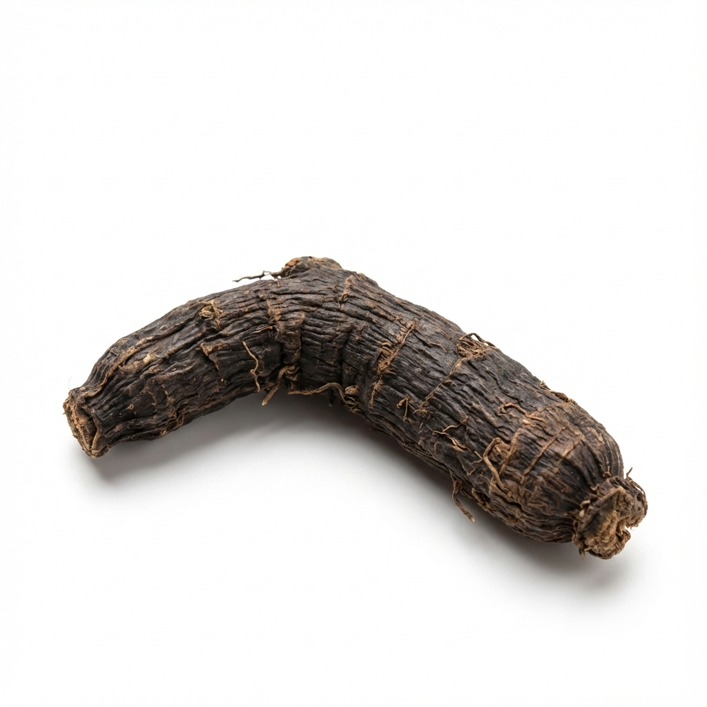 De Gouden Ooggraswortel (Xian Mao)