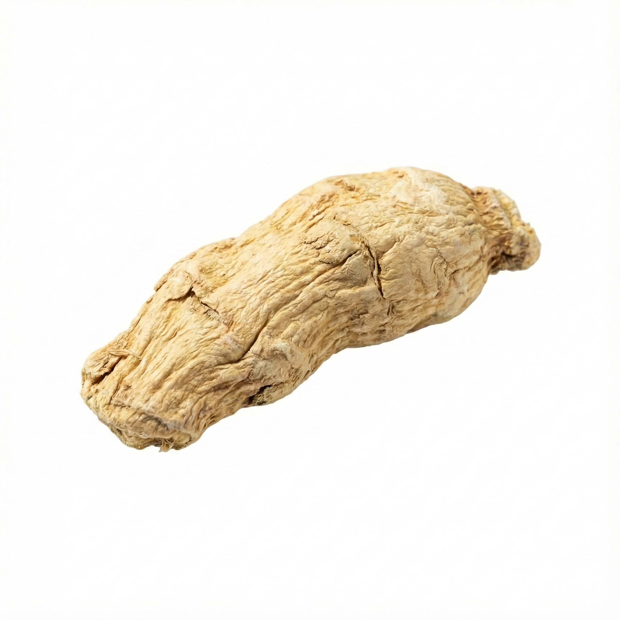 Anemarrhena wortelstok (Zhi Mu)