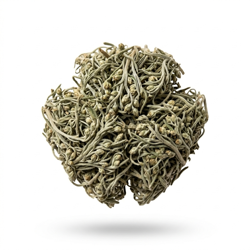 Capillaire Alsem (Yin Chen (Hao))