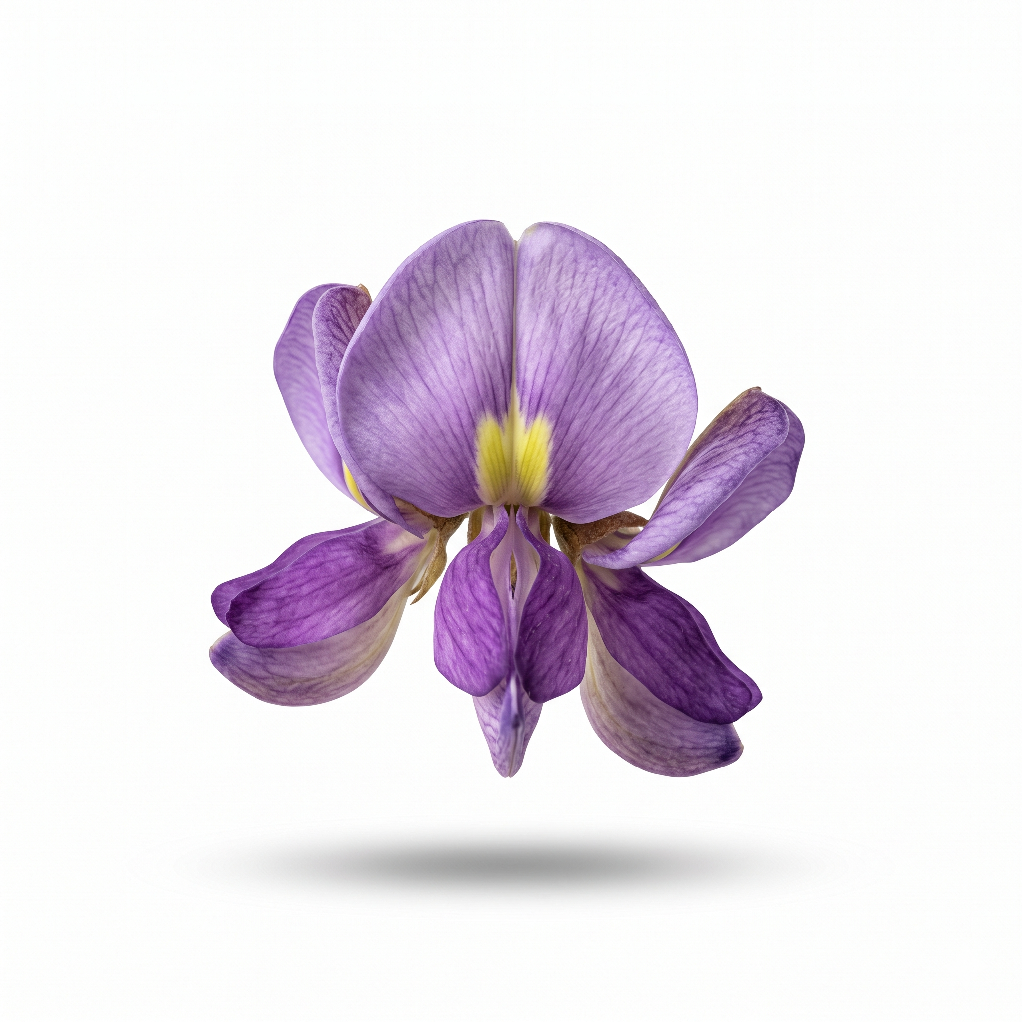 Kudzubloem (Ge Hua)