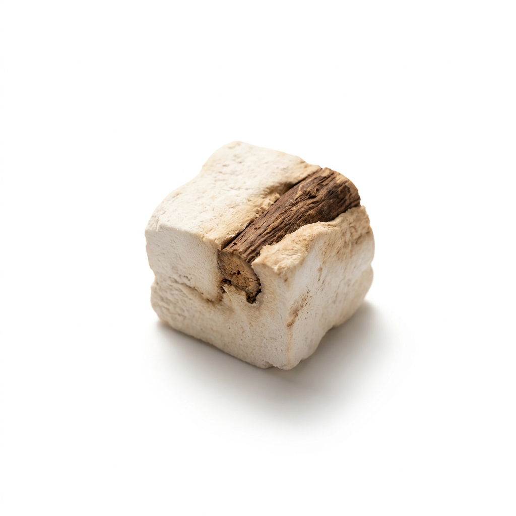 Poria met Waardhout (Fu Shen)