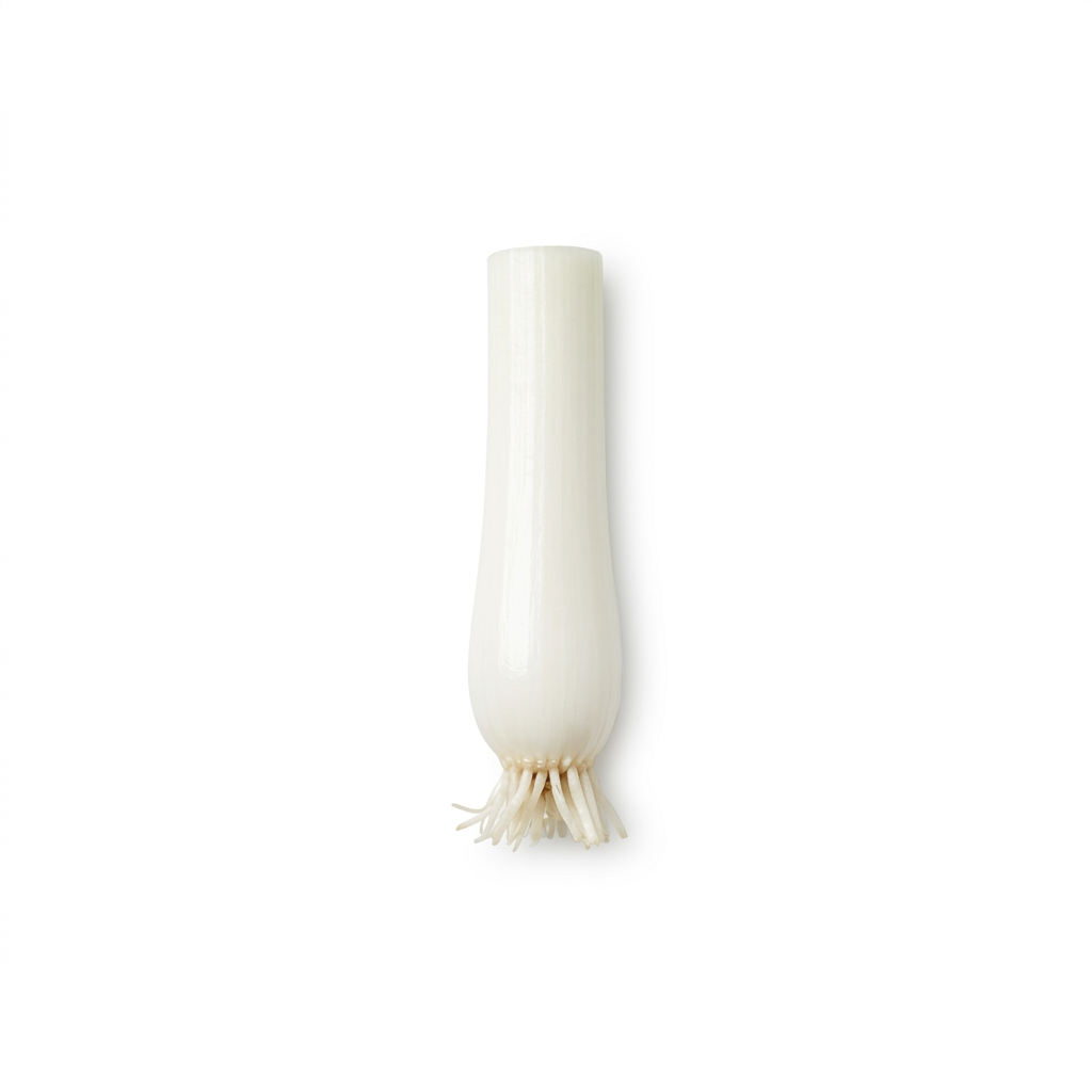 Lente-ui / Bosui Wit (Cong Bai)