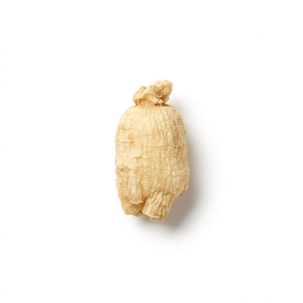 Witte Ginsengwortel (Bai Ren Shen)