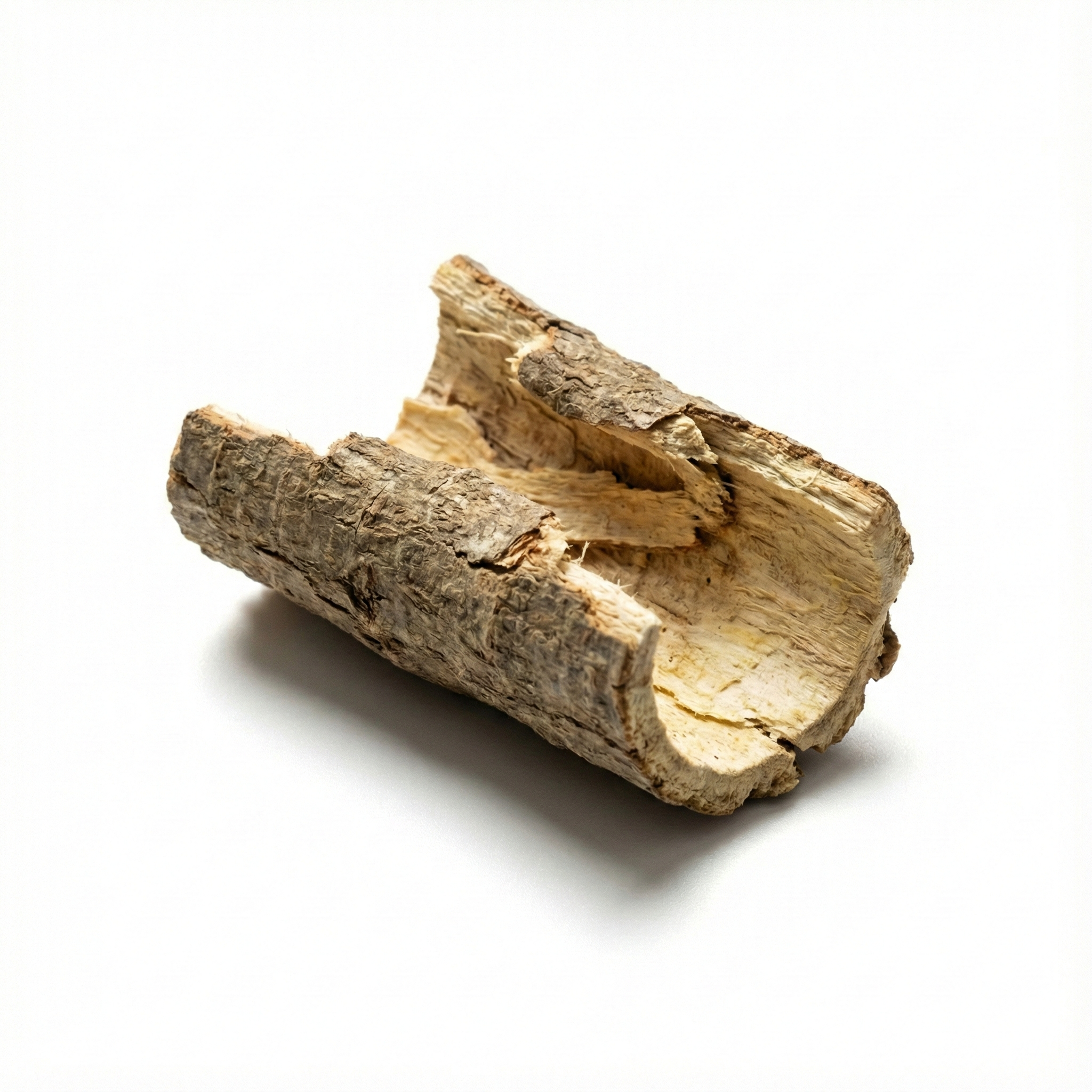 Dittany-wortelbast (Bai Xian Pi)