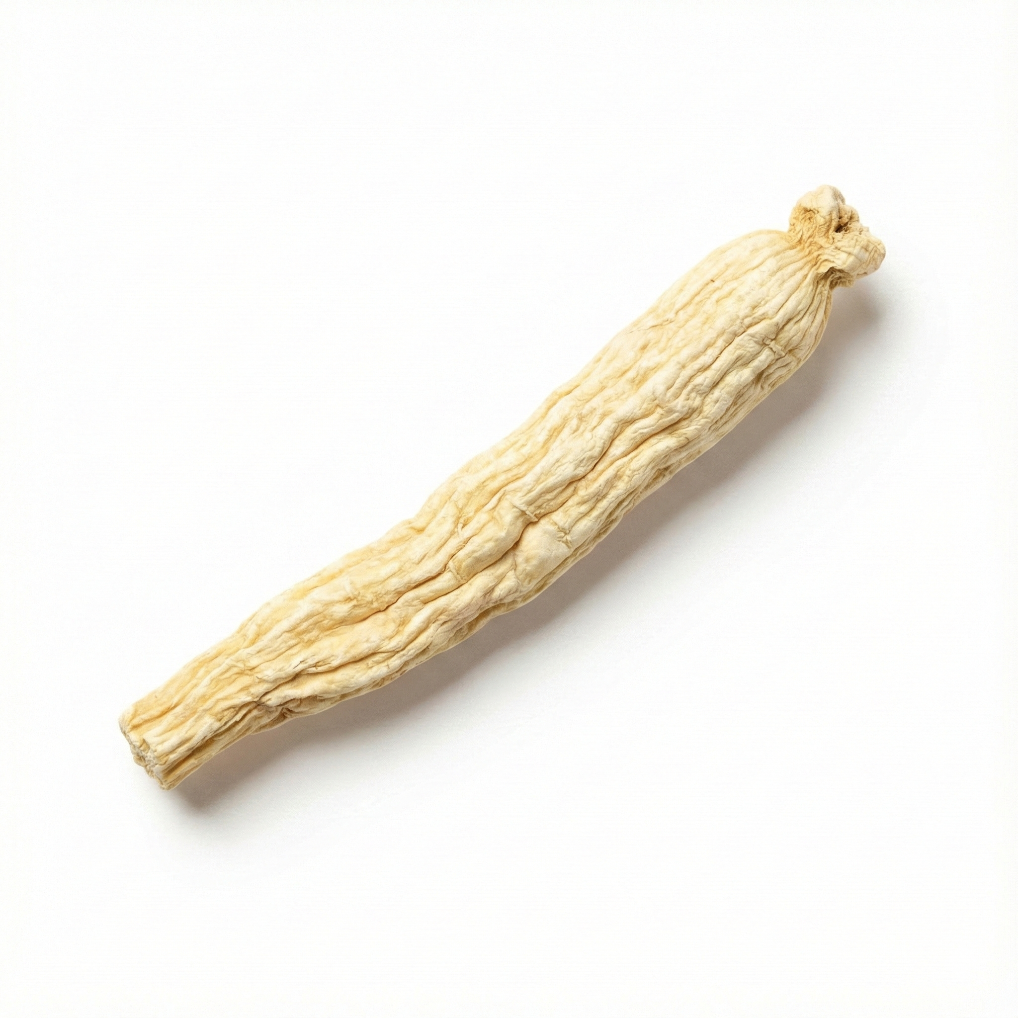Kust-Glehnia-wortel (Bei Sha Shen)