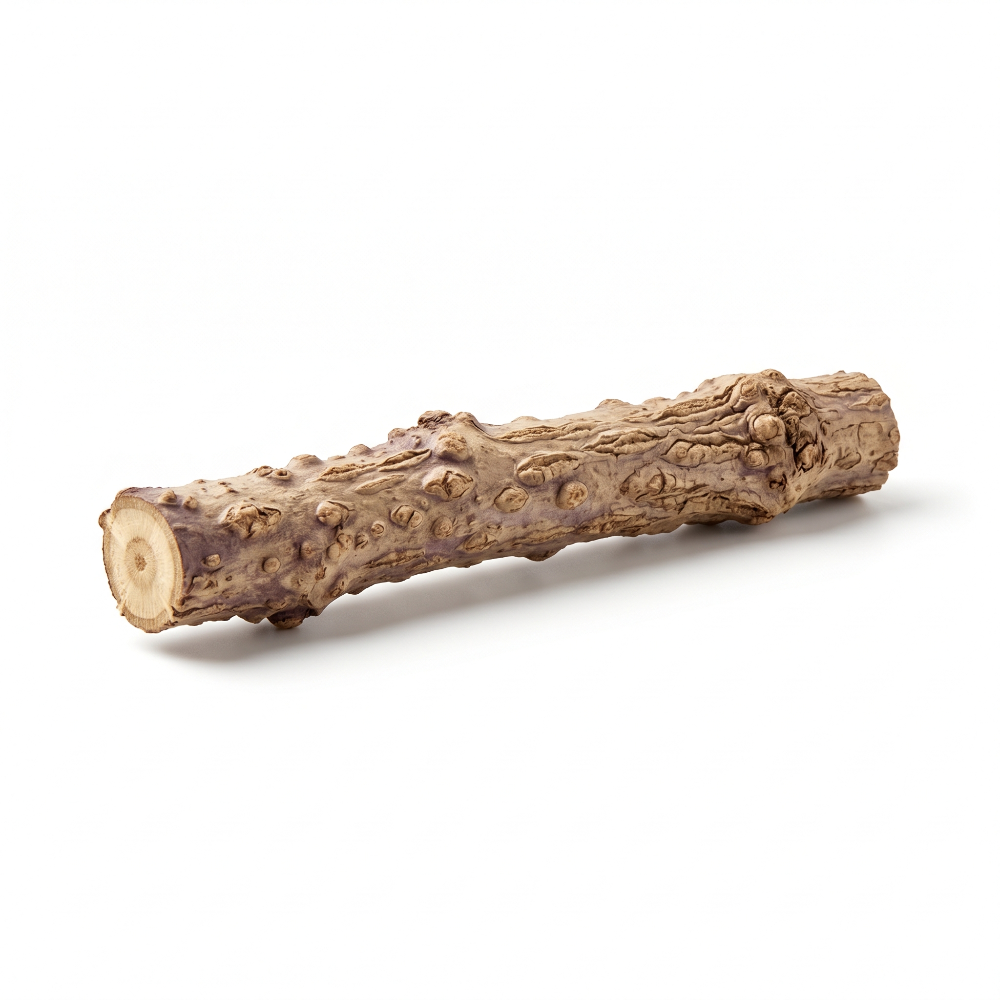Akebia Stengel (Mu Tong)
