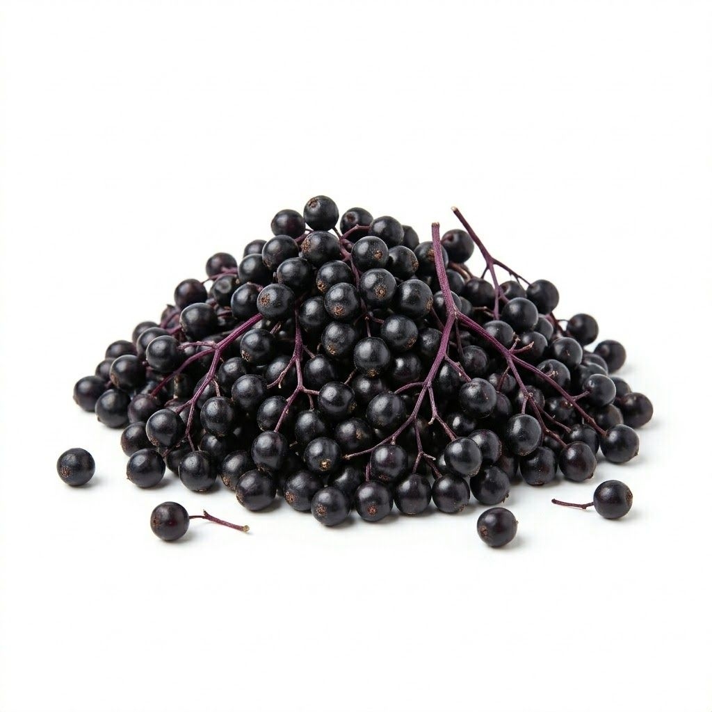Vlierbes ((Jiē gǔ mù méi))
