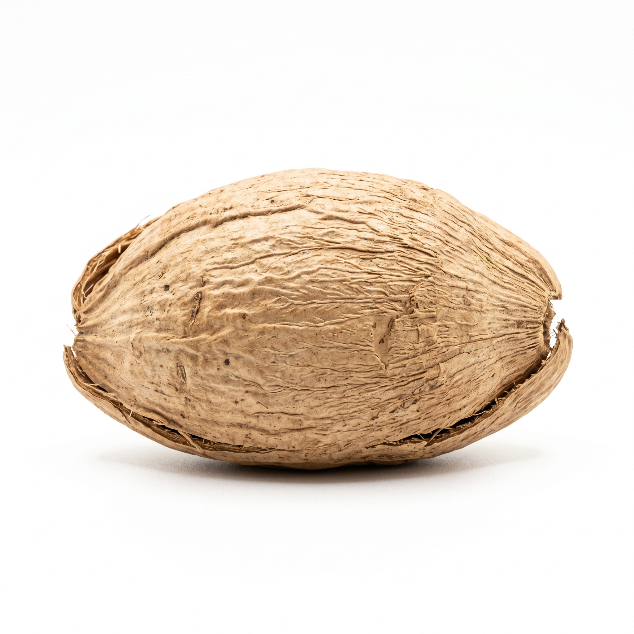 Areca Peel (Da Fu Pi)