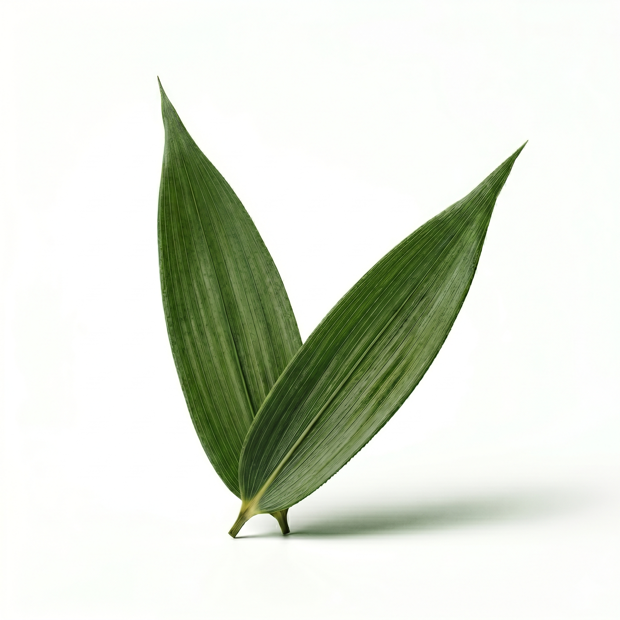 Bamboebladeren (Dan Zhu Ye)