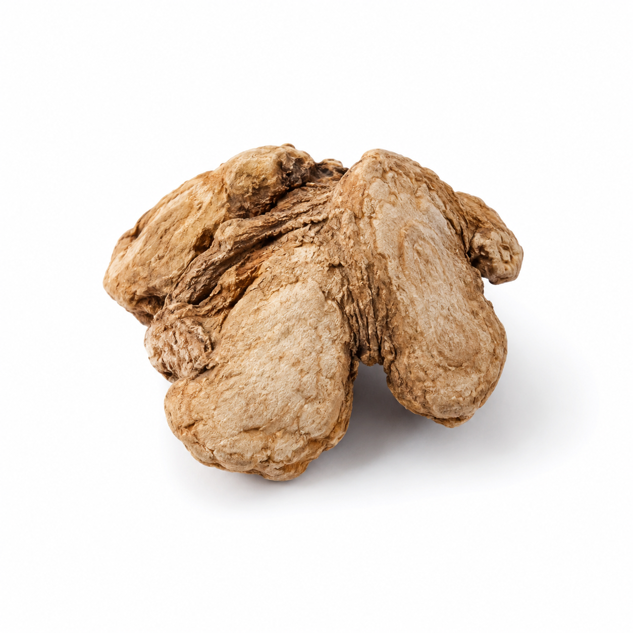 Pinellia Gember-gezouten wortelstok (Ban Xia (Jiang))