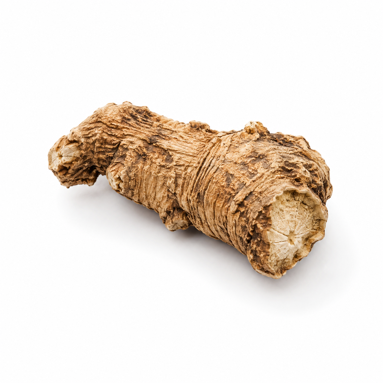 Peucedanum-wortel (Qian Hu)