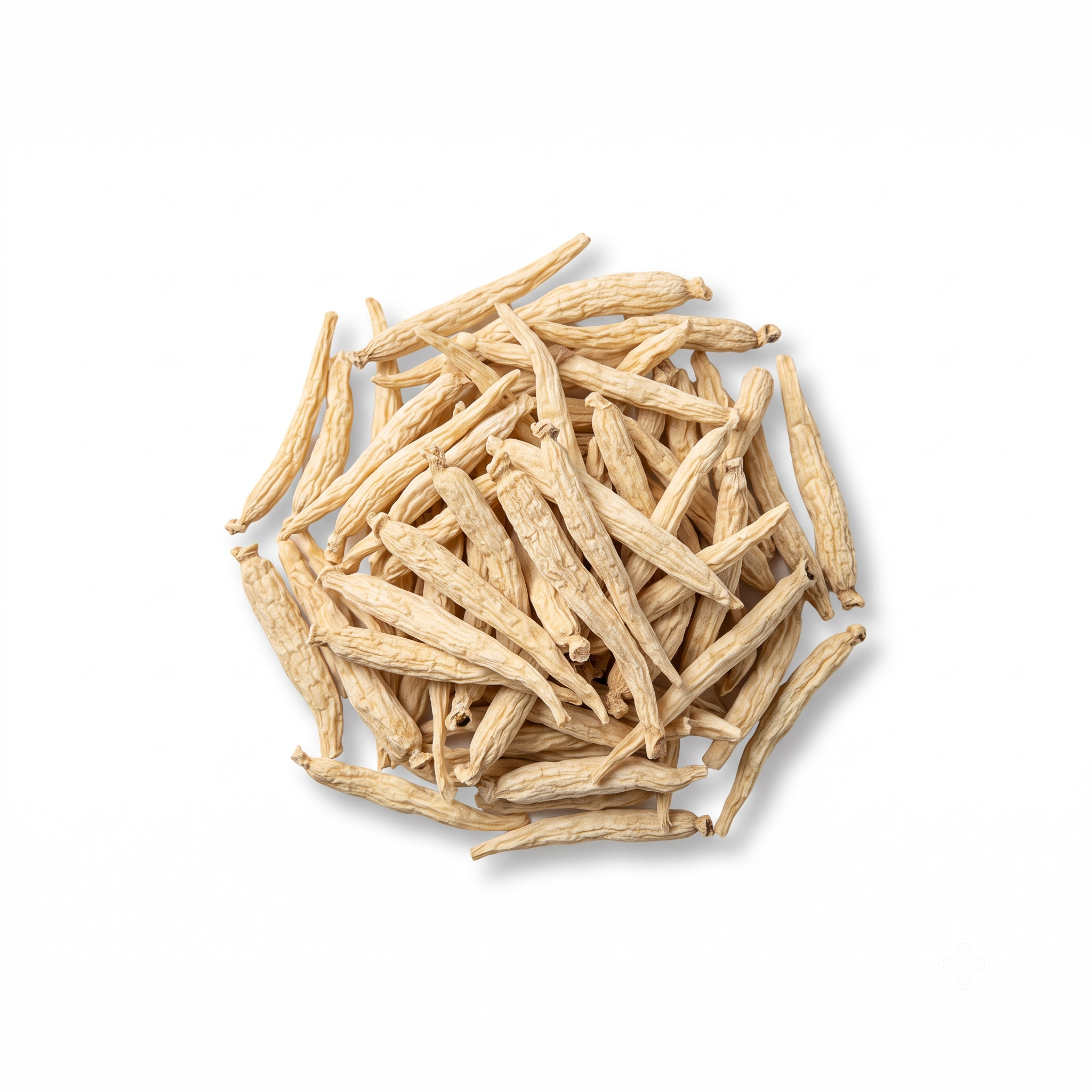 Pseudostellaria-wortel (Tai Zi Shen)