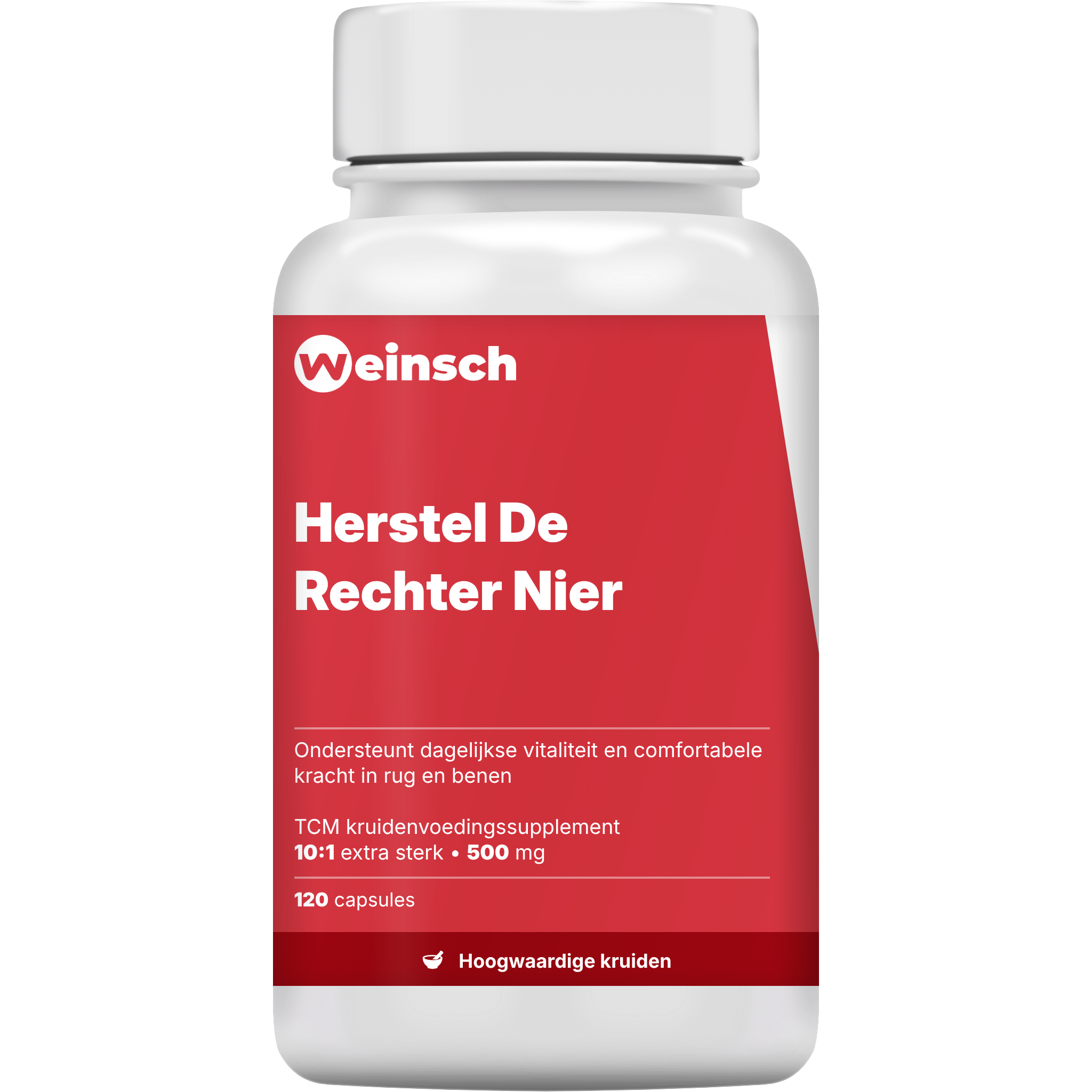 Herstel De Rechter Nier