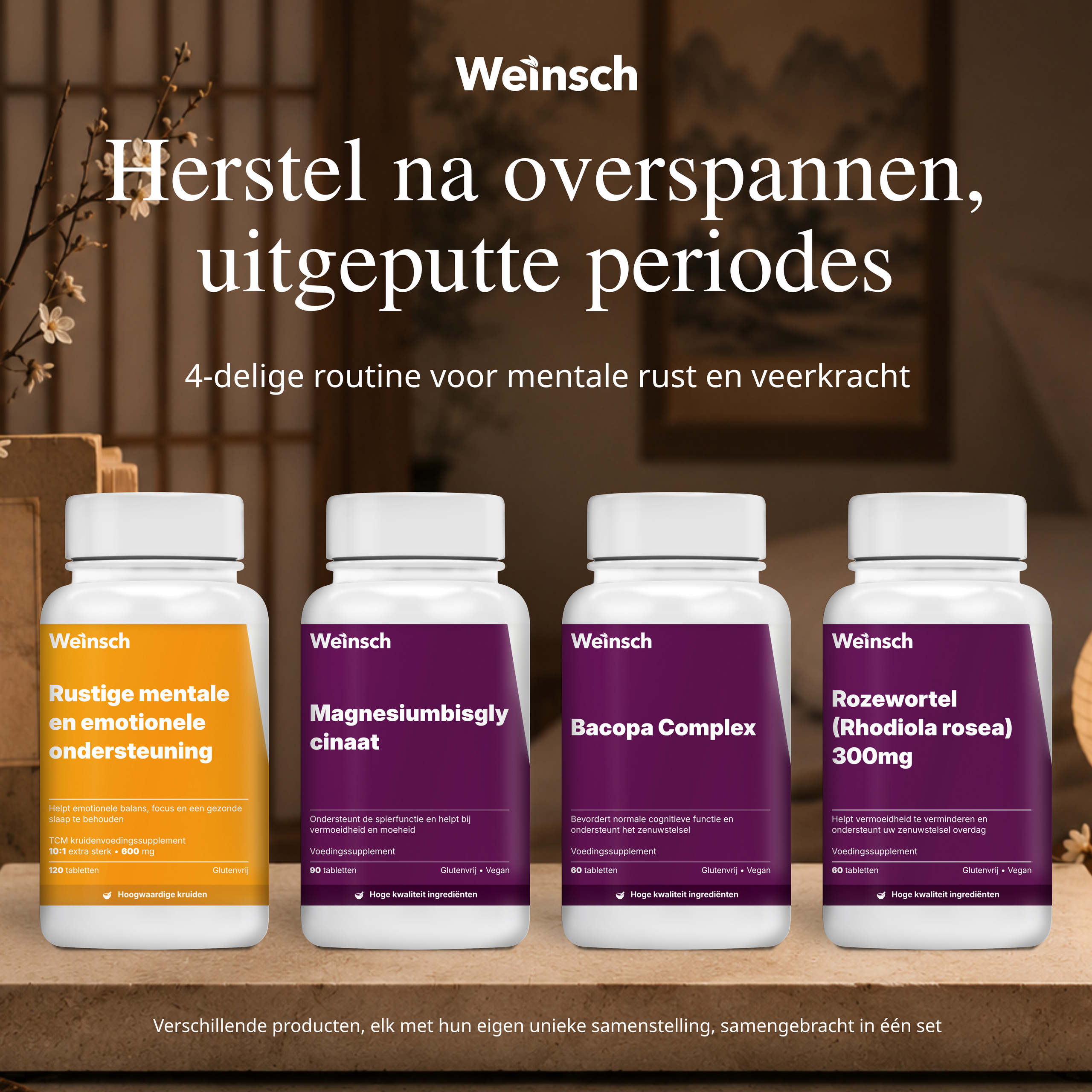 Mens Focus Veerkracht Advance.png