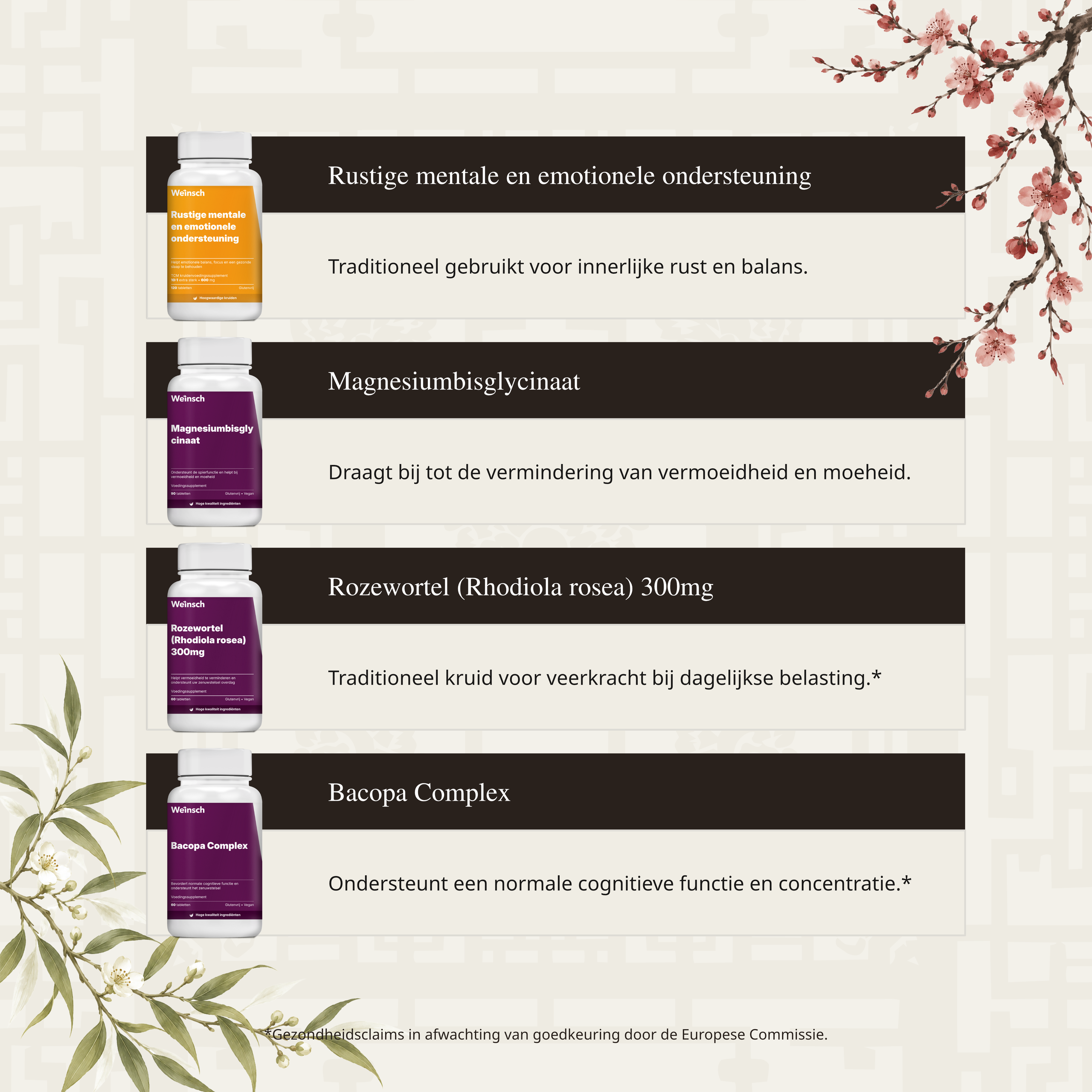 Mens Focus Veerkracht Advance 3.png