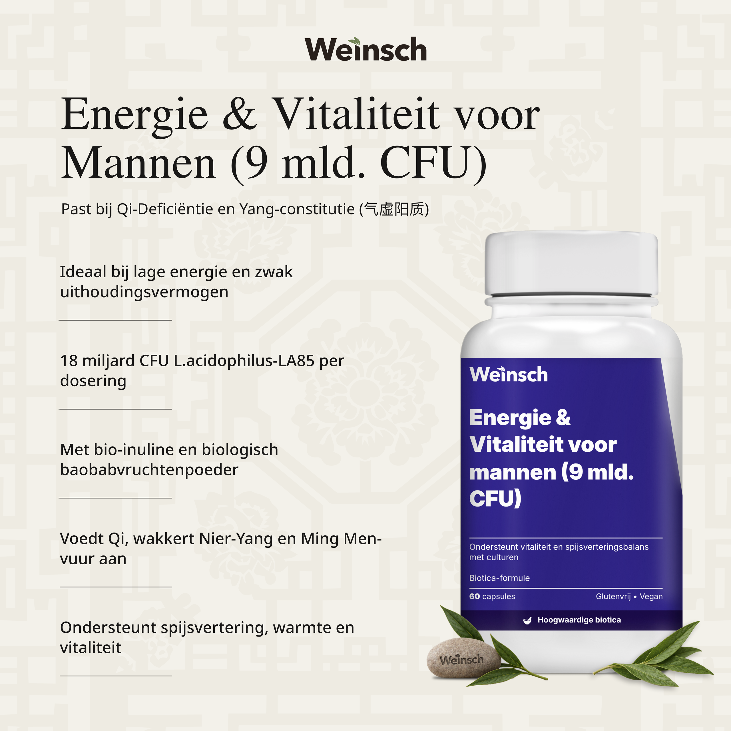 Weinsch BolAmazon Combies template 5 NL 8.png